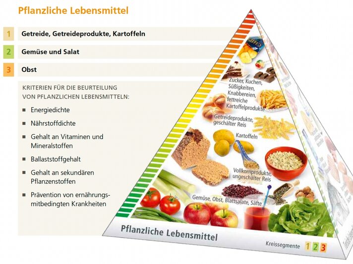 Ernährungspyramide für pflanzliche Lebensmittel. Links stehen die Kategorien: 1. Getreide, Getreideprodukte, Kartoffeln (gelb), 2. Gemüse und Salat (grün), 3. Obst (orange). Darunter Kriterien für die Beurteilung pflanzlicher Lebensmittel wie Energiedichte, Nährstoffdichte, Vitamingehalt, Ballaststoffe, sekundäre Pflanzenstoffe und Prävention von ernährungsbedingten Krankheiten. Rechts ist eine Pyramide mit Lebensmitteln abgebildet: Unten Gemüse, Obst und Salat, darüber Vollkornprodukte, Kartoffeln, Reis, weiter oben Getreideprodukte und ganz oben Süßigkeiten und Knabbereien. Die Farben der Pyramide reichen von grün (unten) bis orange (oben). | © DGE
