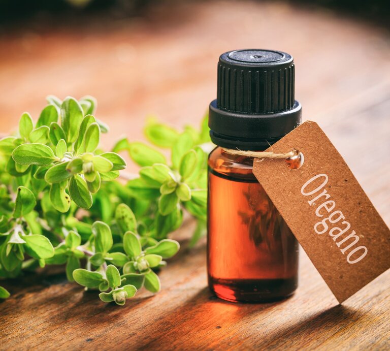Ein Fläschchen Oregano-Öl steht auf einer Holzablage. Daneben liegt ein Strauch Oregano. | © Shutterstock/rawf8