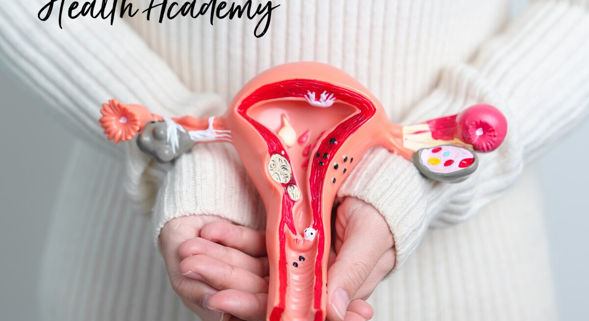 Eine Person in einem weißen Strickpullover hält ein Modell eines weiblichen Uterus vor ihrem Bauch.