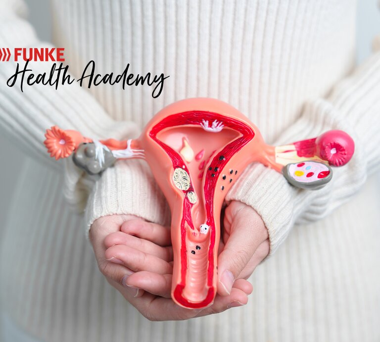 Eine Person in einem weißen Strickpullover hält ein Modell eines weiblichen Uterus vor ihrem Bauch. | © stock.adobe.com/Jo Panuwat D