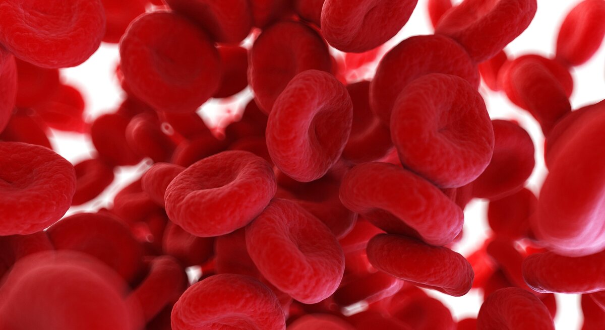 rote Blutplättchen graphisch dargestellt.