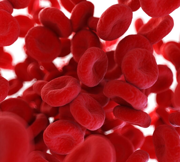 rote Blutplättchen graphisch dargestellt. | © IMAGO / Science Photo Library