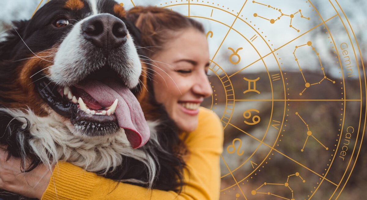 Frau umarmt von hinten einen Hund mit viel Fell. Danaben der Tierkreis mit den Symbolen der 12 Sternzeichen.