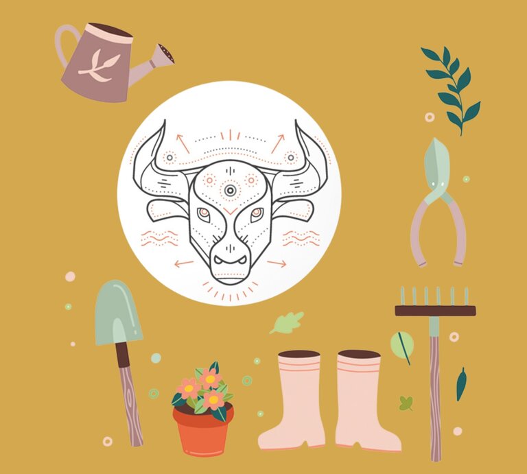Vor einem senfgelben Hintergrund ist das Symbol des Sternzeichens Stier als stilisierte Illustration zu sehen. Um das Symbol sind Gartenwerkzeuge wie eine Gießkanne, eine Schaufel, eine Gartenschere, ein Rechen, Gummistiefel und ein Blumentopf mit Blumen arrangiert. Diese Objekte symbolisieren Achtsamkeit, Erdverbundenheit und Pflege, passend zum praktischen und naturverbundenen Charakter des Stiers. | © Getty Images [M]