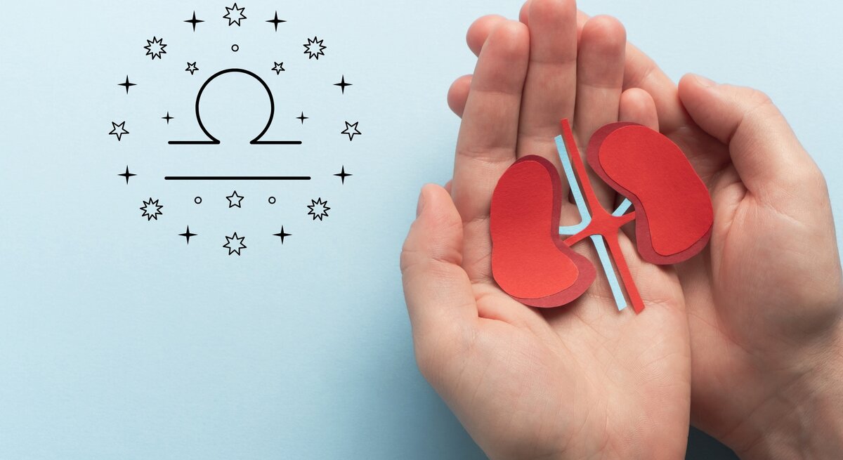 Das Bild zeigt zwei Hände, die ein Modell von roten Nieren aus Papier halten. Links daneben ist das astrologische Symbol für Waage (Libra) abgebildet, umgeben von kleinen Sternen. Der Hintergrund ist hellblau, was dem Bild eine beruhigende und klare Atmosphäre verleiht.
