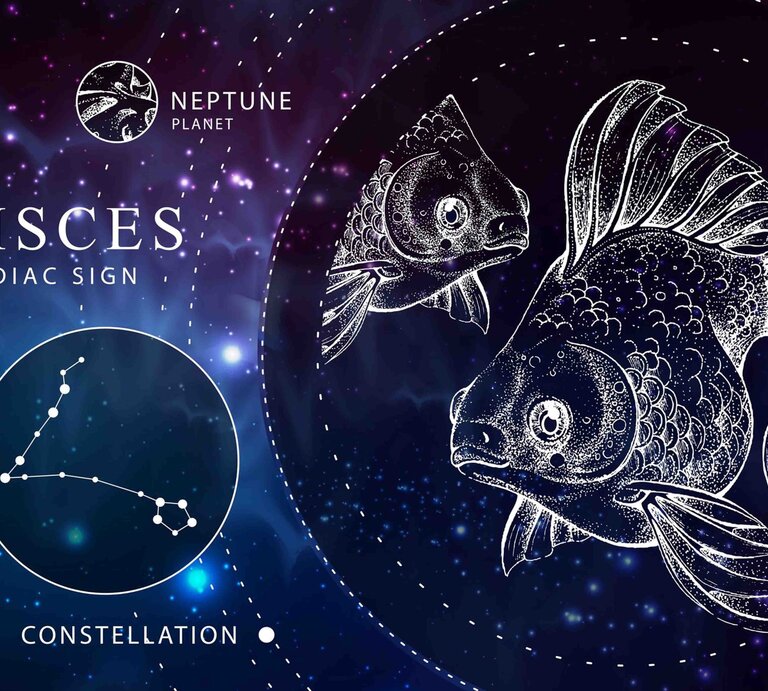 Das Sternzeichen Fische als weiße Grafik vor dunkelblauem Hintergrund, der an das Universum erinnert. Daneben ebenfalls gezeichnet der Planetenherrscher Neptun und das Sternbild Fisch. | © Getty Images / Ganna Bozhko
