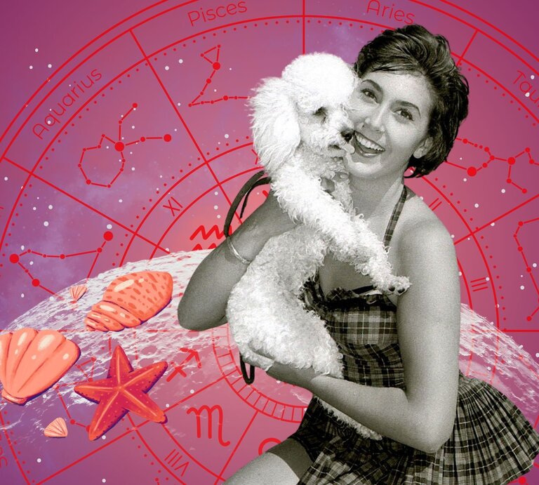 Frau in Retro-Badeanzug hält lächelnd einen weißen Pudel im Arm, vor einem pink-violetten Hintergrund mit Tierkreiszeichen, Sternenkonstellationen und Muscheln auf einer Mondsichel. | © Getty Images/ Mirrorpix, WinWin.artlab, sceptical cactus, OyoyStudio, kucingpink/ mohamad imron hamsyah und sketchify/ Jea Gaviña via Canva.com [M]