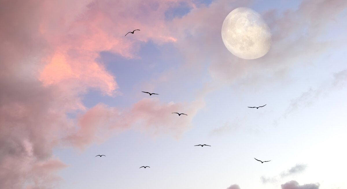 Ein Himmel in sanften Pastellfarben mit rosa und blauen Wolken während der Dämmerung. Der fast volle Mond leuchtet am Himmel, während mehrere Vögel in eleganten Formationen durch die Luft gleiten. Die Szene vermittelt eine ruhige, verträumte und mystische Atmosphäre.