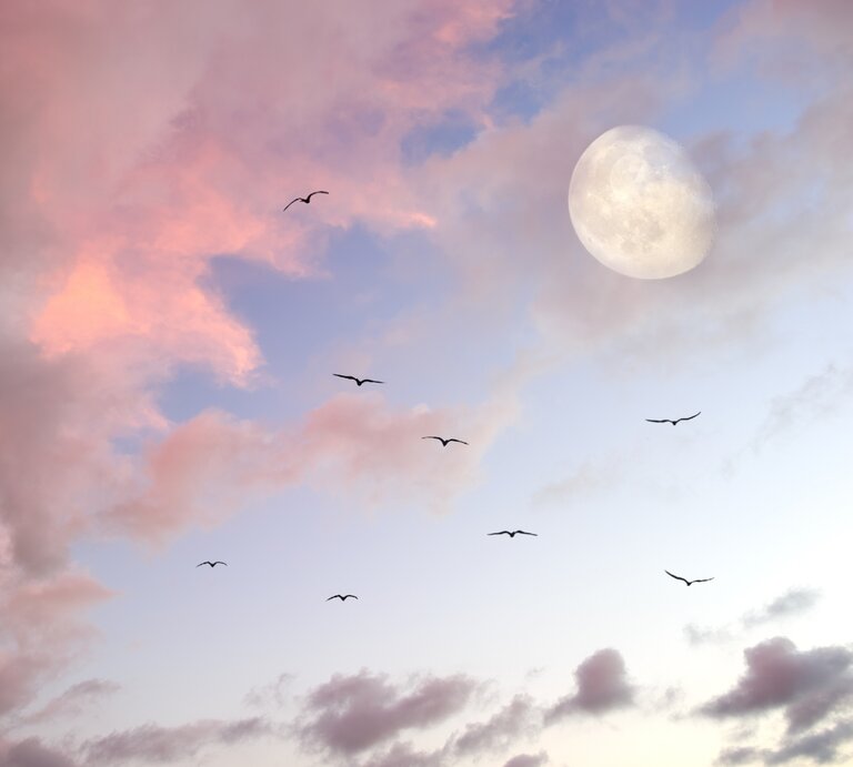 Ein Himmel in sanften Pastellfarben mit rosa und blauen Wolken während der Dämmerung. Der fast volle Mond leuchtet am Himmel, während mehrere Vögel in eleganten Formationen durch die Luft gleiten. Die Szene vermittelt eine ruhige, verträumte und mystische Atmosphäre. | © Getty Images/ David Baileys via Canva.com [M]