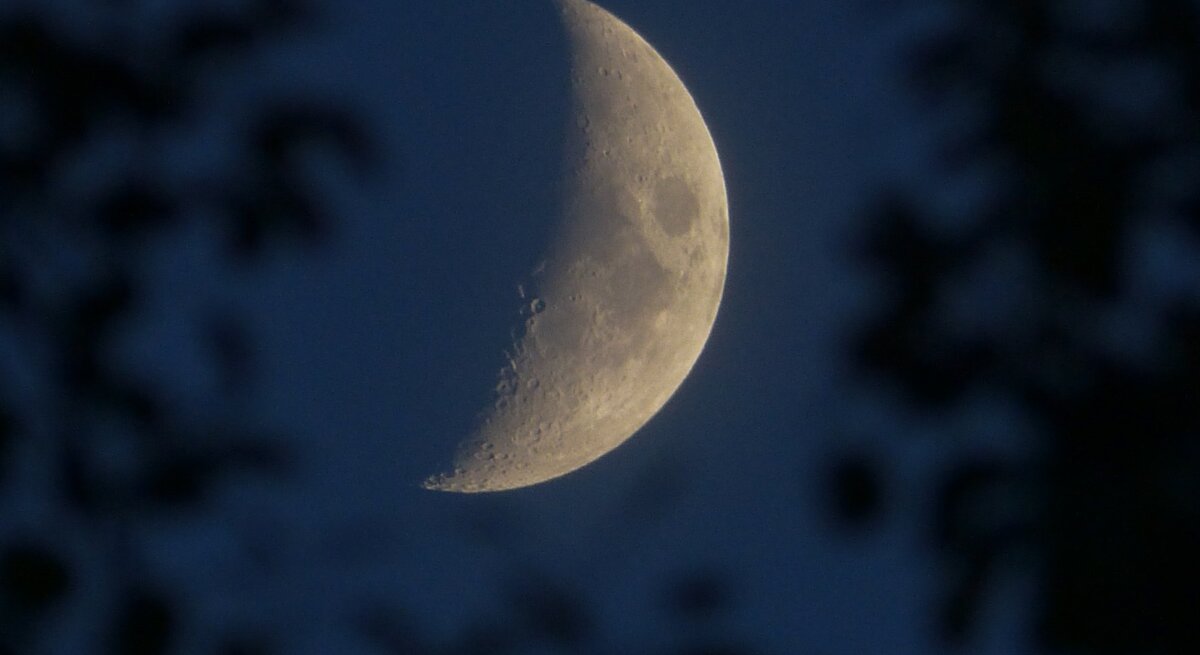 Eine Nahaufnahme des Halbmondes am Nachthimmel, umgeben von dunklen Silhouetten von Baumzweigen. Die Mondoberfläche ist klar erkennbar und hebt die Krater und Texturen hervor. Das Bild strahlt eine ruhige, mystische Atmosphäre aus und symbolisiert die Verbindung zur Astrologie und den Einfluss des Mondes auf das Leben.