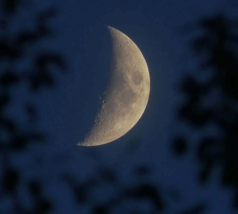 Eine Nahaufnahme des Halbmondes am Nachthimmel, umgeben von dunklen Silhouetten von Baumzweigen. Die Mondoberfläche ist klar erkennbar und hebt die Krater und Texturen hervor. Das Bild strahlt eine ruhige, mystische Atmosphäre aus und symbolisiert die Verbindung zur Astrologie und den Einfluss des Mondes auf das Leben. | © Pexels/ Kym via Canva.com