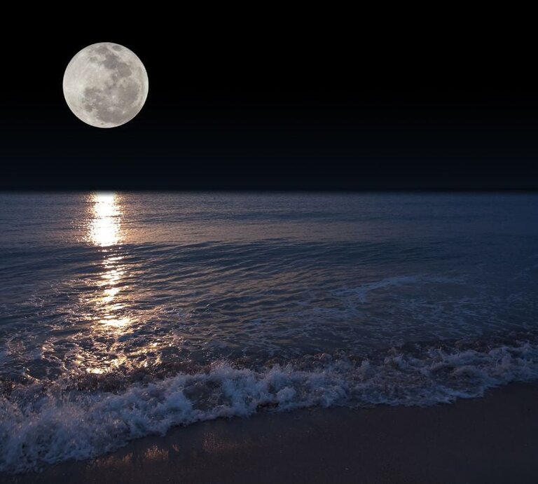 Vollmond über einem Strand bei Nacht. | © Getty Images/ Exsodus via Canva.com