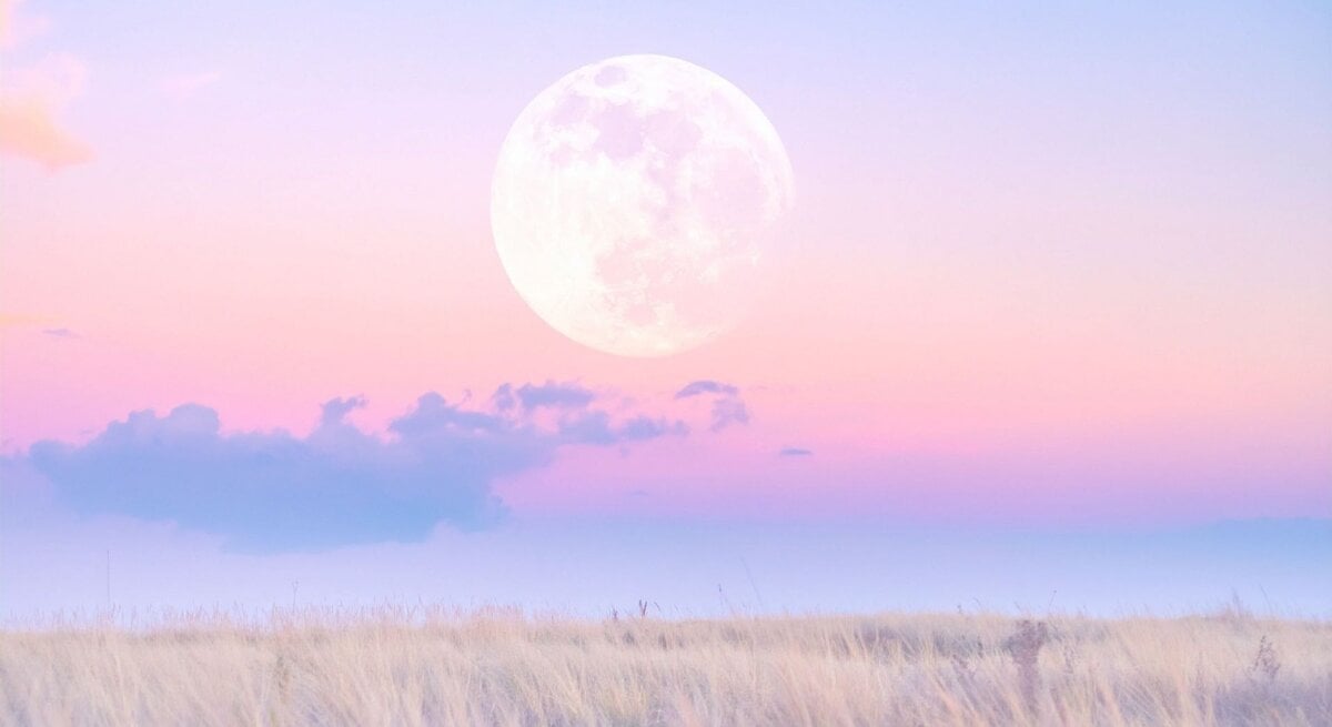 Großer Vollmond über einem pastellrosa‑violetten Himmel mit zarten Wolken; im Vordergrund eine helle, trockene Wiese/Steppe in weichem Abendlicht.