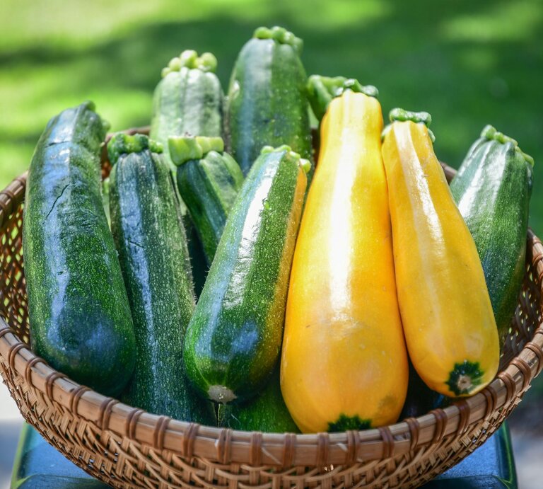 Ein Korb mit grünen und gelben Zucchinis. | © gettyimages/	Barbara Rich