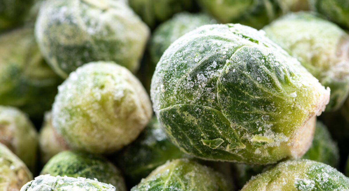 Nahaufnahme von gefrorenen Rosenkohlröschen mit Eiskristallen auf den grünen Blättern, dicht nebeneinander liegend.