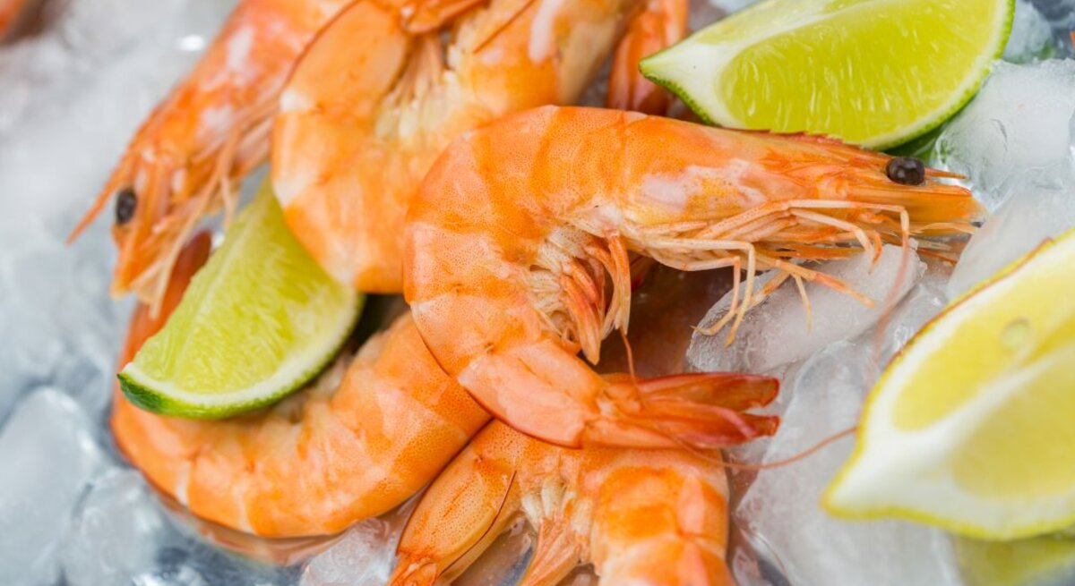 Frische Garnelen liegen auf einem Bett aus zerstoßenem Eis, arrangiert für eine kalte Präsentation. Die orangefarbenen Garnelen sind deutlich zu sehen, umgeben von Stücken von Zitronen- und Limettenspalten, die einen Kontrast zu ihrer lebhaften Farbe bilden. Die Feuchtigkeit der Garnelen und die Kühle des Eises lassen das Essen frisch und bereit zum Servieren erscheinen.