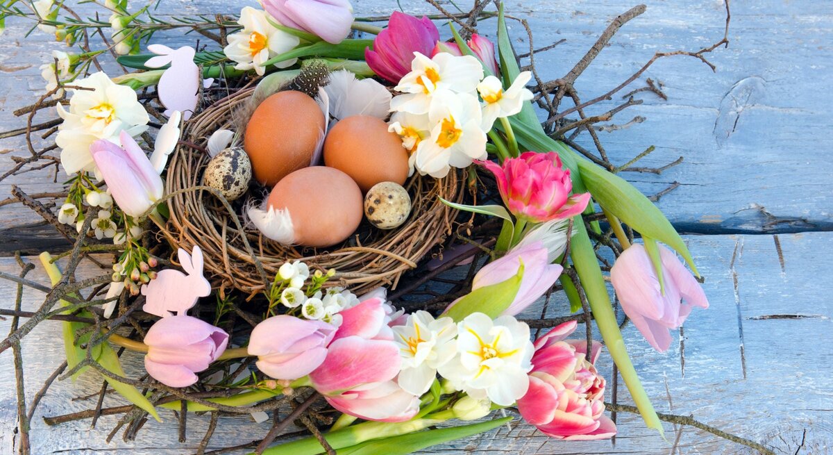 Frühlingshafter Osterkranz aus Zweigen mit Tulpen und Narzissen; im Nest liegen braune Hühner- und gesprenkelte Wachteleier auf blauem Holz.