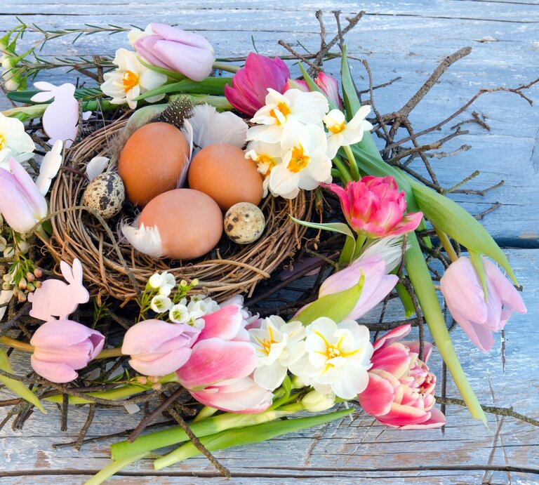 Frühlingshafter Osterkranz aus Zweigen mit Tulpen und Narzissen; im Nest liegen braune Hühner- und gesprenkelte Wachteleier auf blauem Holz. | © Shutterstock/doris oberfrank-list