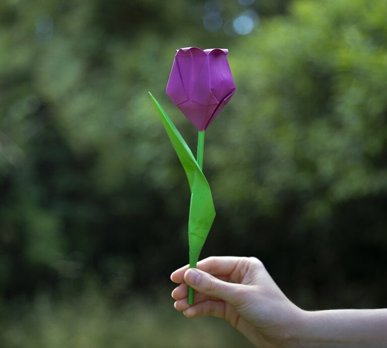 Zu sehen ist eine Hand, die eine lila Papiertulpe hält. | © GettyImages/Elva Etienne