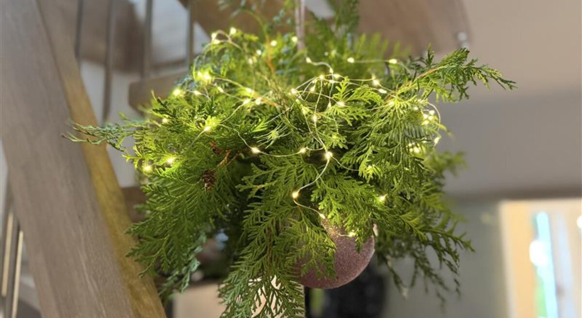 Frisches Tannengrün mit filigraner Lichterkette und rosafarbener Weihnachtskugel hängt festlich an einem Holzgeländer.