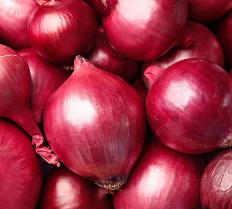Mehrere glänzende rote Zwiebeln liegen dicht aneinandergedrängt und füllen das gesamte Bild gleichmäßig aus. | © Shutterstock/ New Africa