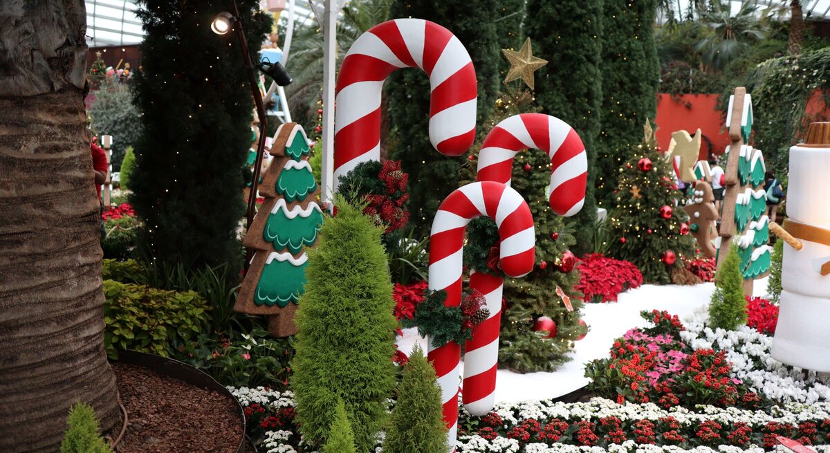 Riesige rot-weiße Zuckerstangen stehen zwischen Weihnachtsbäumen, Blumenbeeten und Lebkuchenfiguren in festlicher Kulisse.