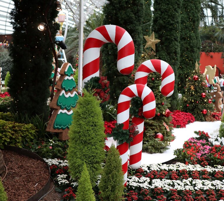 Riesige rot-weiße Zuckerstangen stehen zwischen Weihnachtsbäumen, Blumenbeeten und Lebkuchenfiguren in festlicher Kulisse. | © Shutterstock/ TheBreadLoaf