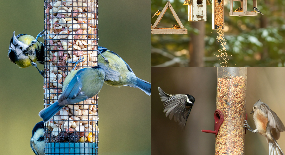 Mehrere Meisen und Finken fressen an bunten Vogelfutterspendern aus Metall, Holz und Kunststoff in winterlicher Waldkulisse.
