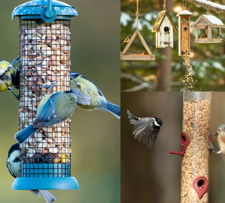 Mehrere Meisen und Finken fressen an bunten Vogelfutterspendern aus Metall, Holz und Kunststoff in winterlicher Waldkulisse. | © Canva/Collage:bildderfrau.de