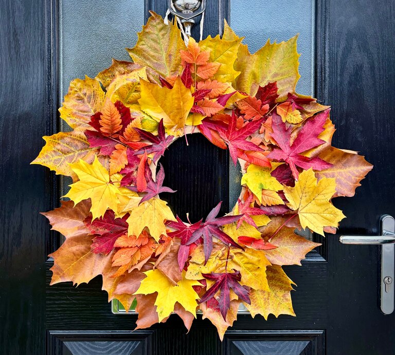 Bunter Herbstkranz aus gelben, roten und braunen Blättern hängt dekorativ an einer glänzend schwarzen Haustür. | © Shutterstock/B.Goodchild