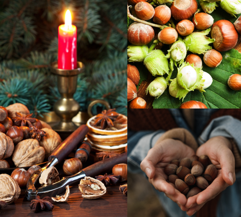 Verschiedene Haselnüsse in Schale, auf Blättern, in Kinderhänden und festlich mit Walnüssen, Gewürzen und Kerze arrangiert. | © Canva/Collage:bildderfrau.de