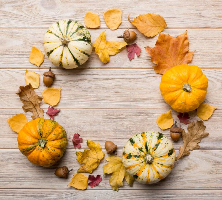 Vier kleine Zierkürbisse liegen im Kreis aus bunten Herbstblättern und Eicheln auf hellem, rustikalem Holzuntergrund. | © Shutterstock/SNeG17