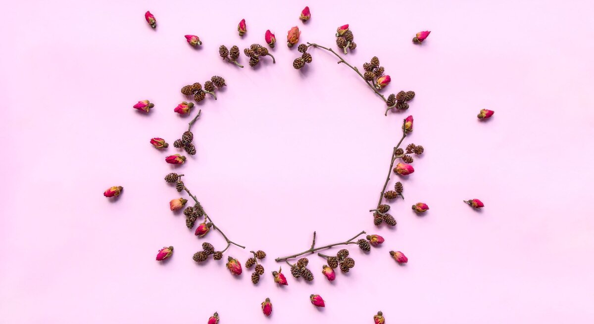 Getrocknete rosa Rosenknospen und kleine Erlenzapfen bilden einen zarten Kreis auf einem pastellrosa Hintergrund.