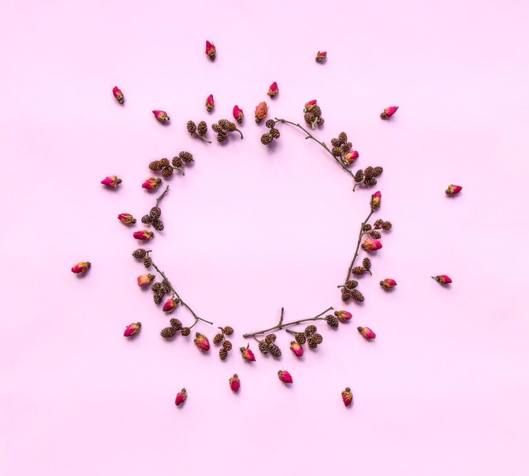 Getrocknete rosa Rosenknospen und kleine Erlenzapfen bilden einen zarten Kreis auf einem pastellrosa Hintergrund. | © Shutterstock/lara-sh