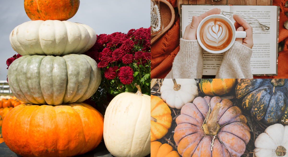 Verschiedenfarbige Kürbisse, herbstliche Deko, Cappuccino mit Herzmuster und rote Chrysanthemen auf einer Collage vereint.