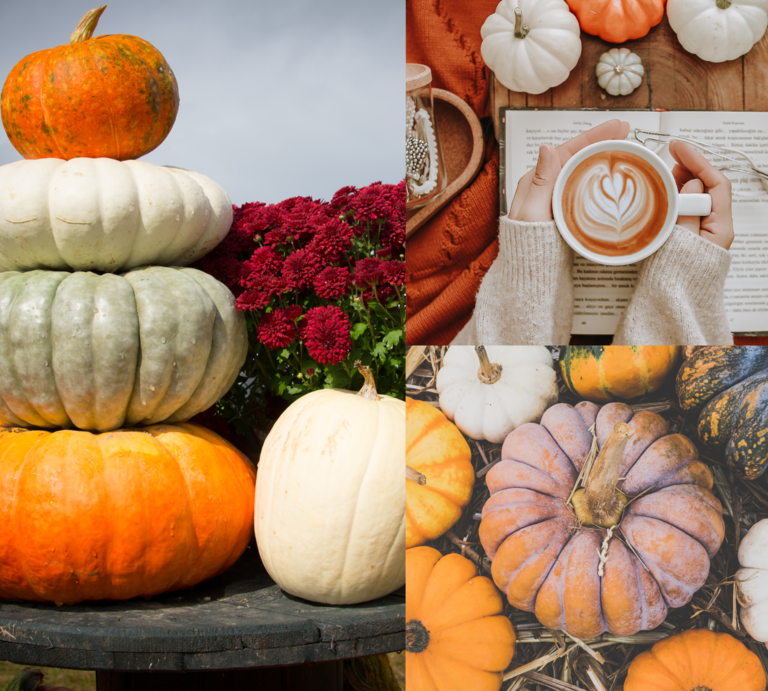 Verschiedenfarbige Kürbisse, herbstliche Deko, Cappuccino mit Herzmuster und rote Chrysanthemen auf einer Collage vereint. | © Canva/Collage:bilderfrau.de