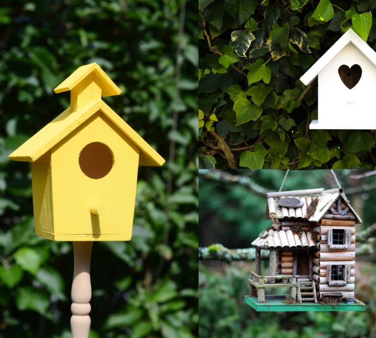 Drei fantasievoll gestaltete Vogelhäuser: gelb auf Stab, weiß mit Herzöffnung im Efeu und rustikal hängend wie eine Blockhütte. | © Canva/Collage:bildderfrau.de