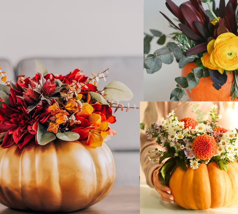 Herbstliche Blumenarrangements in drei Kürbissen mit roten, gelben und weißen Blüten auf hellem Tisch und vor neutralem Hintergrund. | © Shutterstock/Olllllga/Pixel-Shot/ Okrasiuk/Canva/Collage:bildderfrau.de