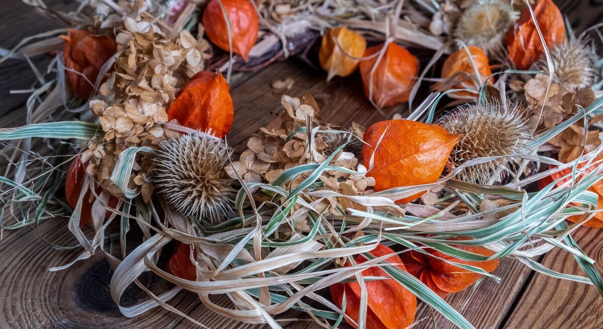 Herbstlicher Türkranz mit orangefarbenen Lampionblumen, trockenen Hortensien und stacheligen Disteln auf Holzuntergrund.