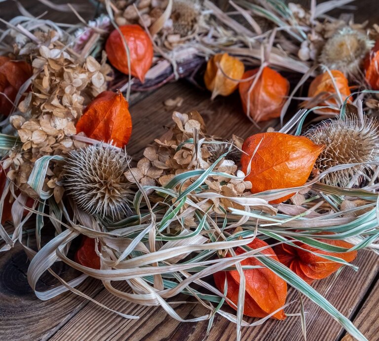 Herbstlicher Türkranz mit orangefarbenen Lampionblumen, trockenen Hortensien und stacheligen Disteln auf Holzuntergrund. | © Shutterstock/eugenehill
