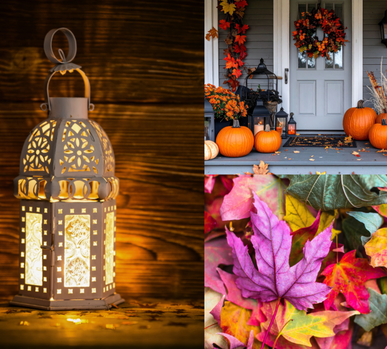 Leuchtende Laterne, herbstlich geschmückte Veranda mit Kürbissen und bunte Ahornblätter auf feuchtem Waldboden im Detail. | © Canva/Collage:bildderfrau.de