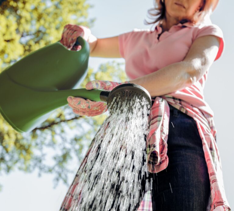 Eine Person in rosa Polohemd und Jeans gießt mit einer grünen Kanne Wasser, während Sonnenlicht durch Laubbäume strahlt. | © Adobe Stock/ ivanko80