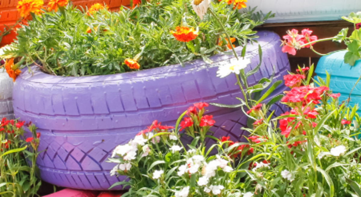Üppige Blütenpracht in kräftigen Farben zieht sich durch kreative Pflanzgefäße, Blumenrabatten und gepflegte Rasenflächen. Das Ganze umrandet von Beeteinfassungen. 