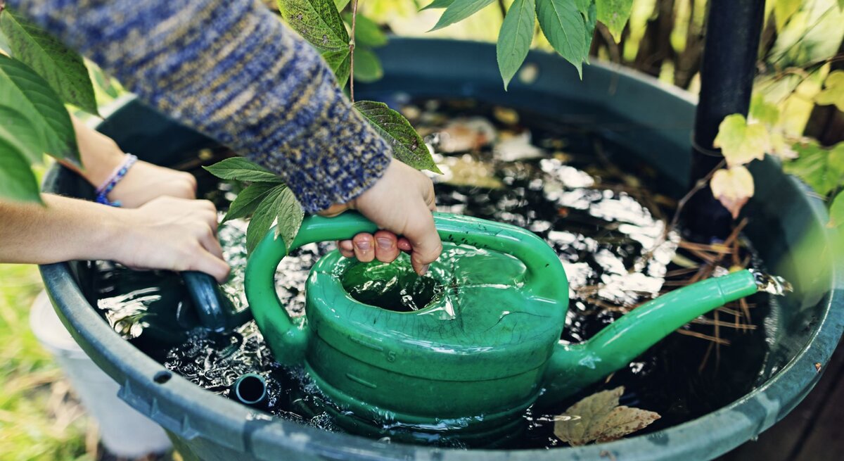 Zu sehen ist eine Regentonne, die mit Wasser gefüllt ist und Hände, die mit einer Gießkanne das Wasser herausschöpfen