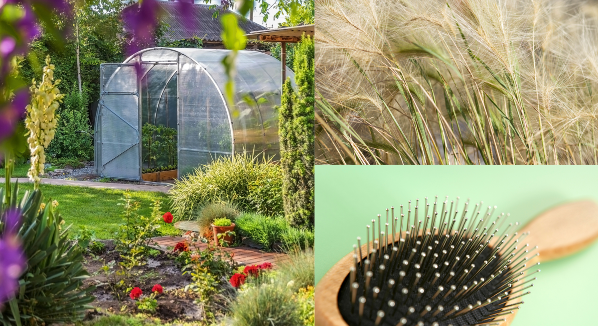 Kollage mit sonnigem Garten samt Glashaus und Blumenbeet, filigranem Federgras im Wind und Holzhaarbürste auf grünem Untergrund.