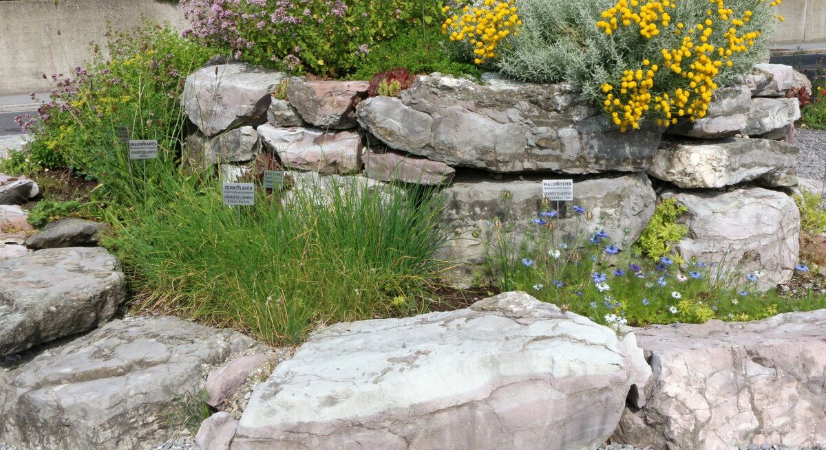 Mehrere Kräuter wachsen in einer Kräuterspirale aus groben Natursteinen vor grauem Schotter und Betonmauer.
