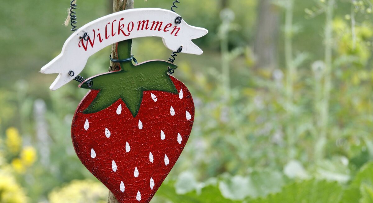 Dekoratives Erdbeer-Holzschild mit grünem Blätterdach und weißem „Willkommen“-Banner vor unscharfer Gartenkulisse.