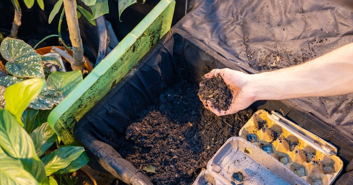 Wurmkiste selber bauen: Dieses DIY-Projekt liefert den besten Dnger