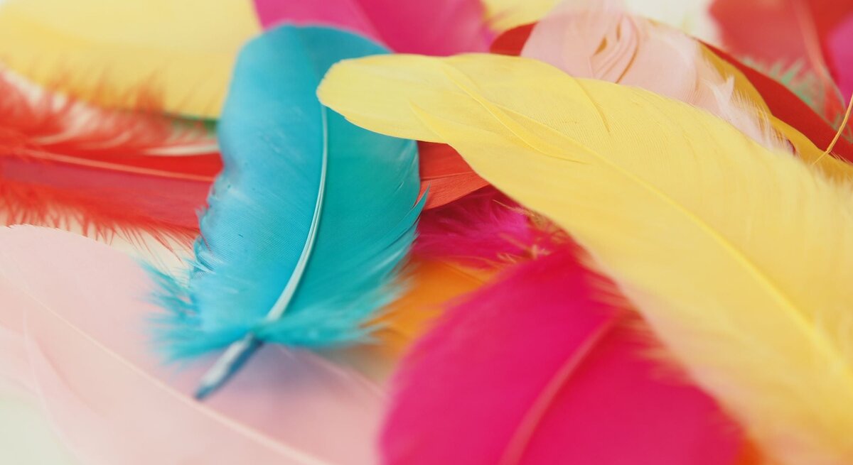 Bunte Federn in Blau, Gelb, Rot und Rosa liegen weich auf einer hellen Fläche und überlappen sich.