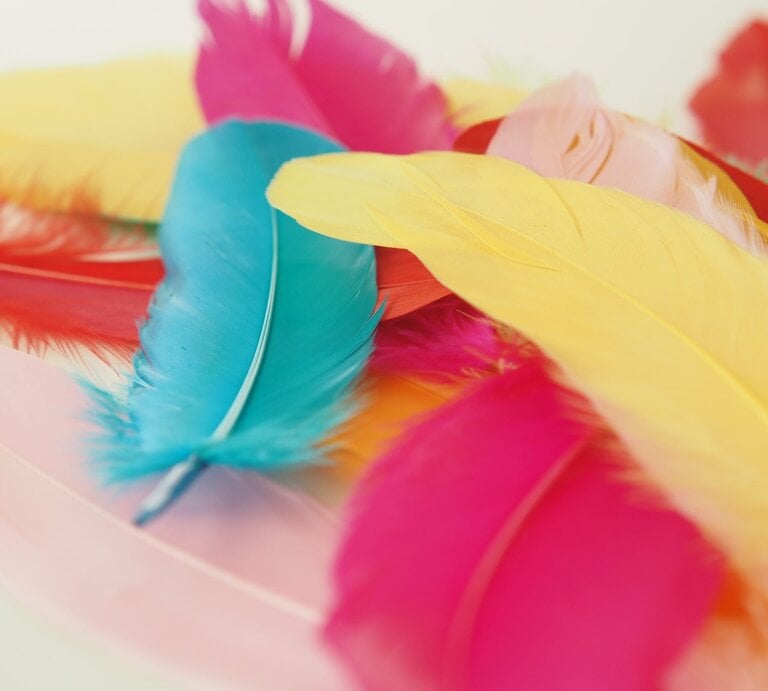 Bunte Federn in Blau, Gelb, Rot und Rosa liegen weich auf einer hellen Fläche und überlappen sich. | © Adobe Stock/Towfiqu Barbhuiya